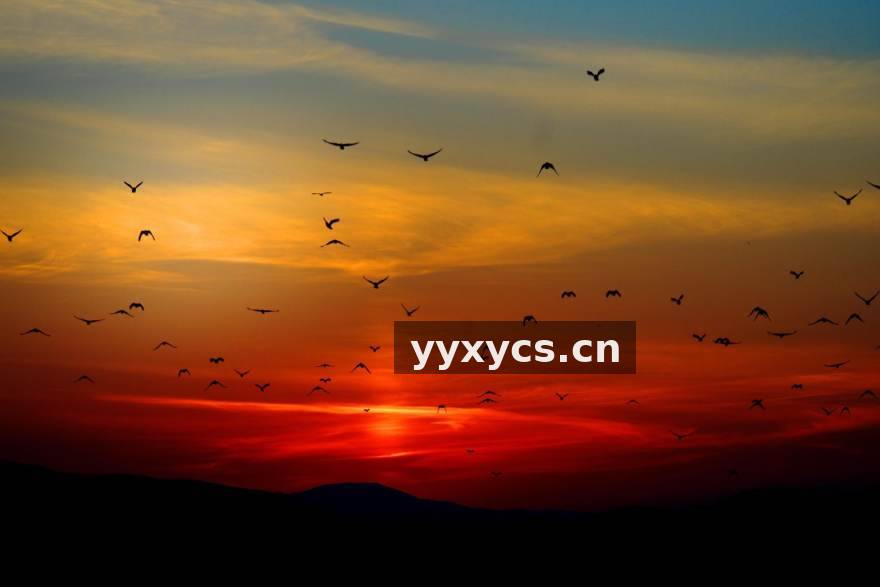 白马体育球迷社区与订阅服务配图